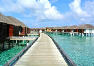 maldives, beach, holiday-261506.jpg